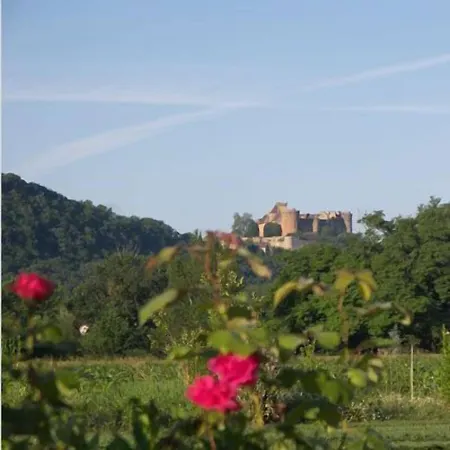 Domaine De Borie D'hotes Couette-café Bretenoux