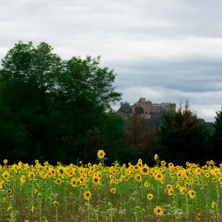 Domaine De Borie D'hotes Bretenoux