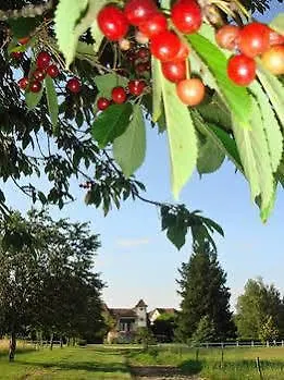 Domaine De Borie D'hotes * Bretenoux